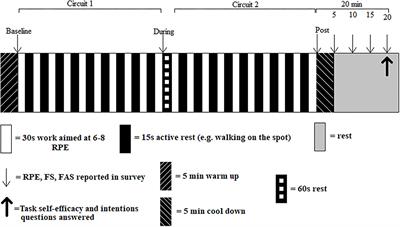 Investigating Affective Responses to Remotely Delivered “At Home” Low Volume High Intensity Interval Exercise: A Non-Randomized Parallel Group Feasibility Study